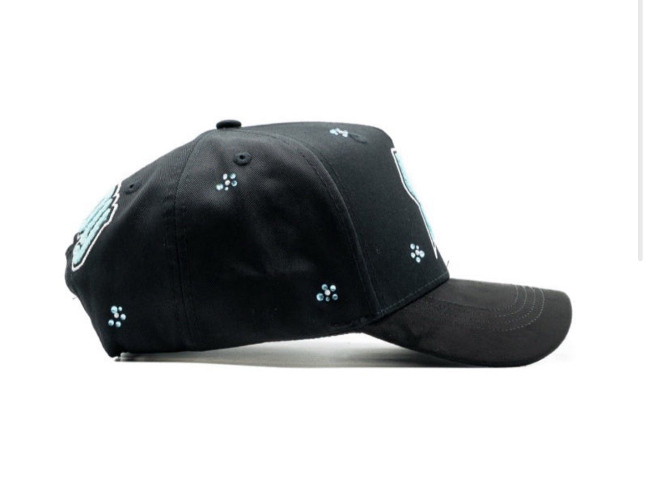 DANDY x CANELO “CA TIFFANY” PREVENTA HATS
